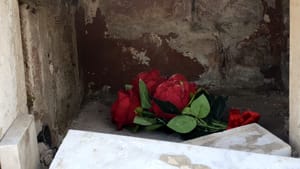 Verano: rose nella tomba dove hanno rubato le ceneri di Elena Aubry